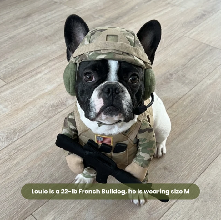 Louie, a 22 lb French Bulldog, wearing the Sergeant Paws costume in size M