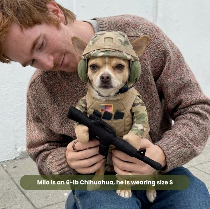 Milo, a 6 lb Chihuahua, wearing the Sergeant Paws costume in size S